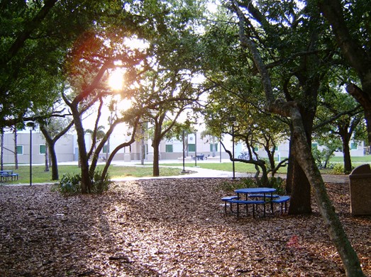 佛罗里达大西洋大学全景图片