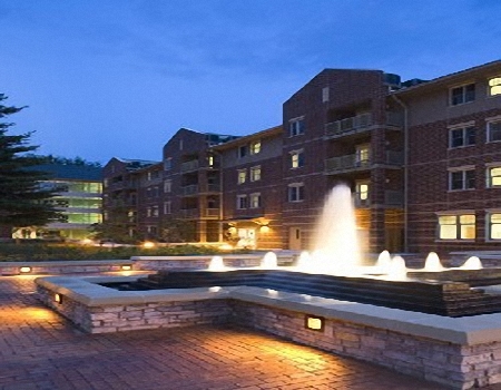 南伊利诺伊大学卡本代尔分校全景图片
