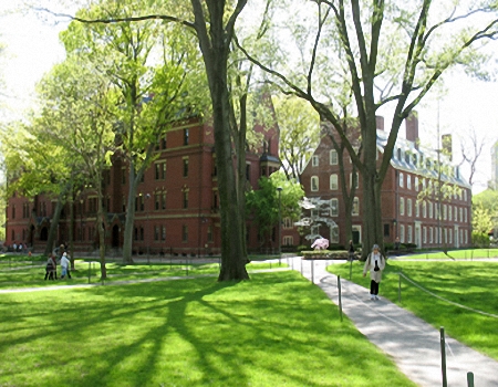 约翰泰勒社区学院全景图片