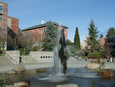 西雅图城市大学全景图片