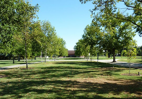 加州州立大学弗雷斯诺分校全景图片