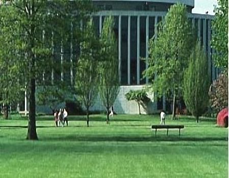阿德菲大学全景图片