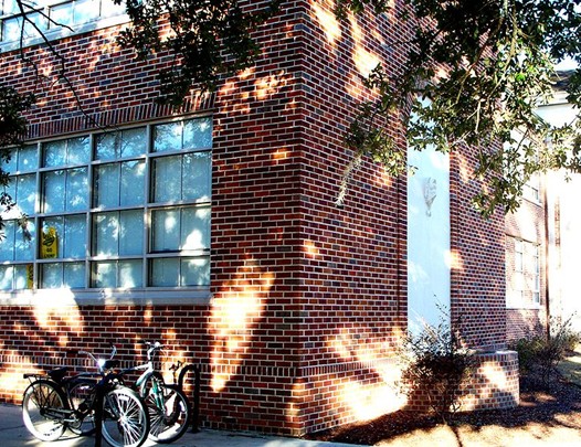 东南路易斯安那大学全景图片