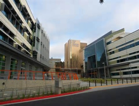 西洛杉矶大学全景图片