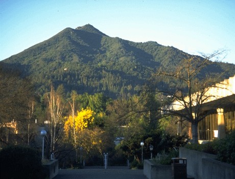 马林学院全景图片