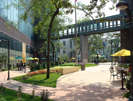 长岛大学全景图片