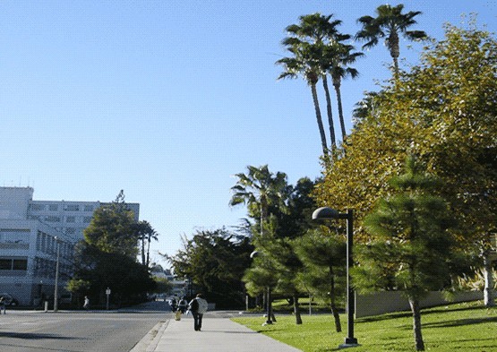 加州州立大学北岭分校全景图片