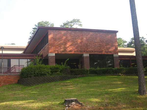 路易斯安那学院全景图片