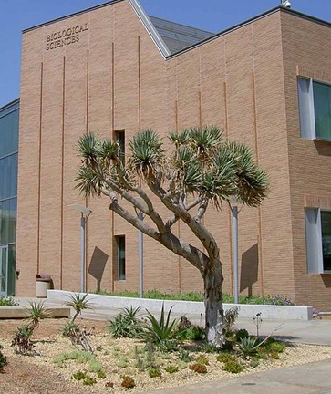 加州浸会大学全景图片