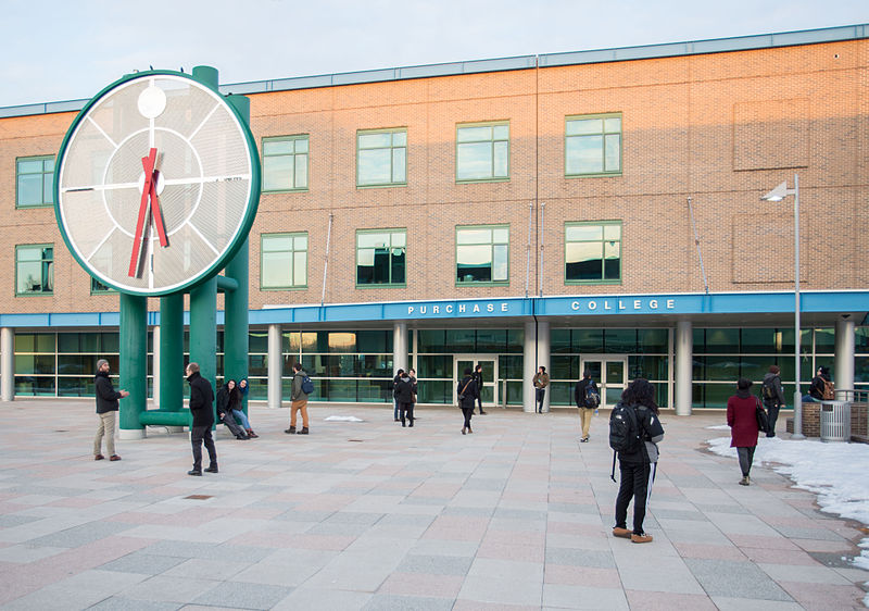 纽约州立大学全景图片