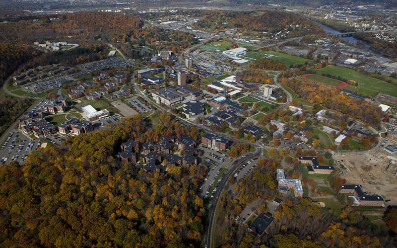 纽约州立大学全景图片