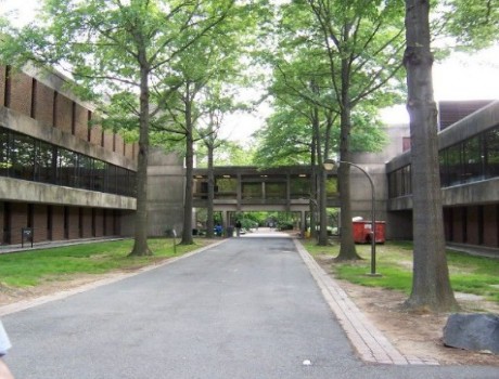 托马斯爱迪生州立大学全景图片