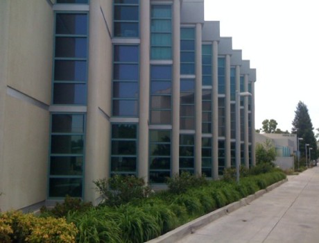 红杉学院全景图片
