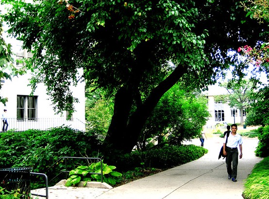 斯特雷耶大学全景图片
